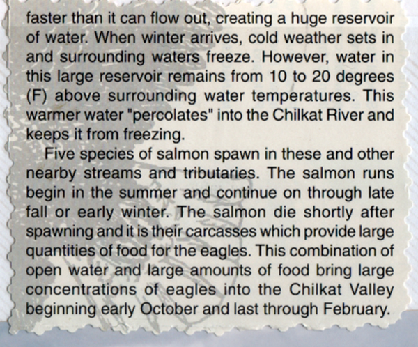 information about the Chilkat Rive
